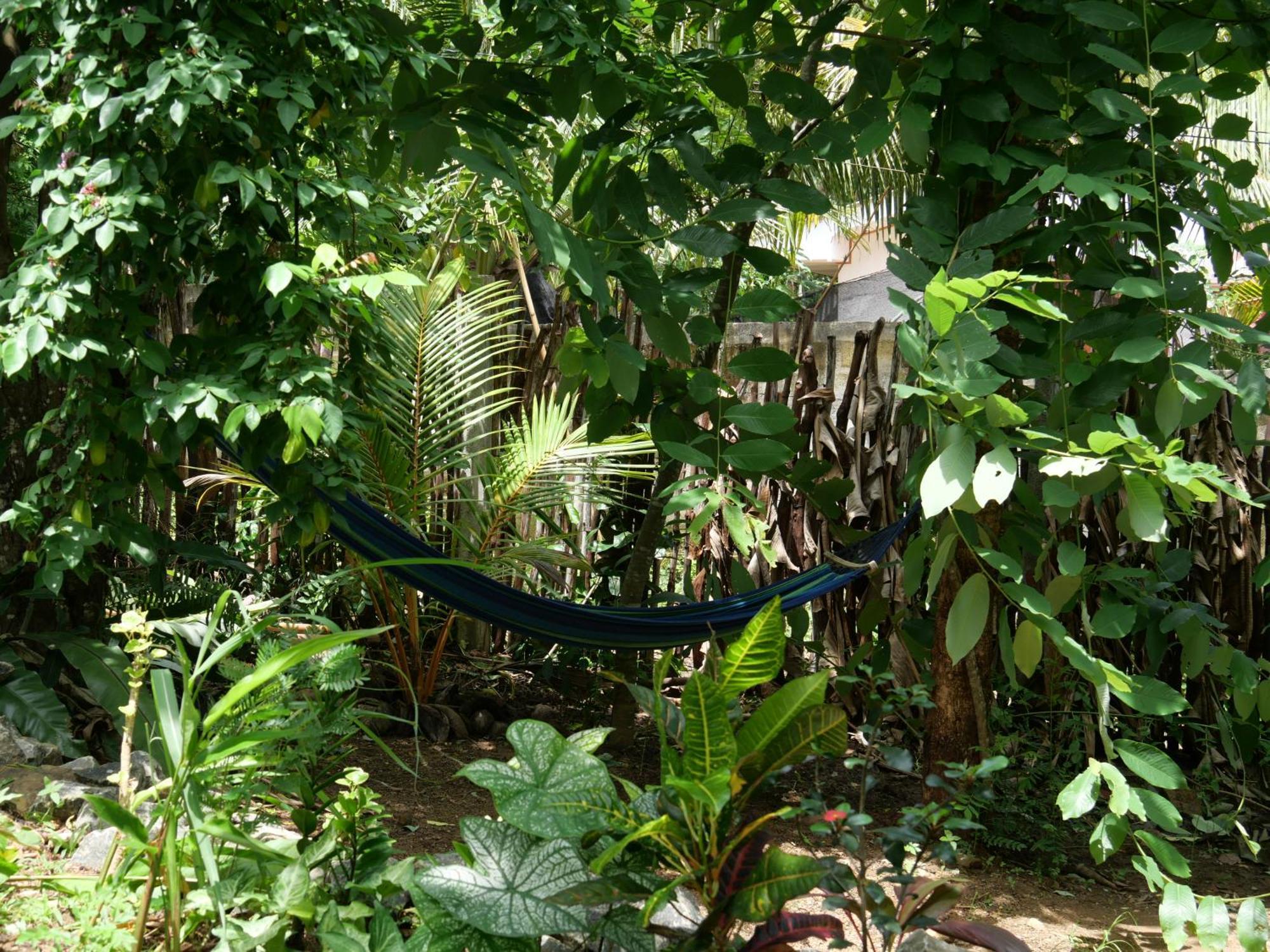Hotel Watu House Dikwella Esterno foto